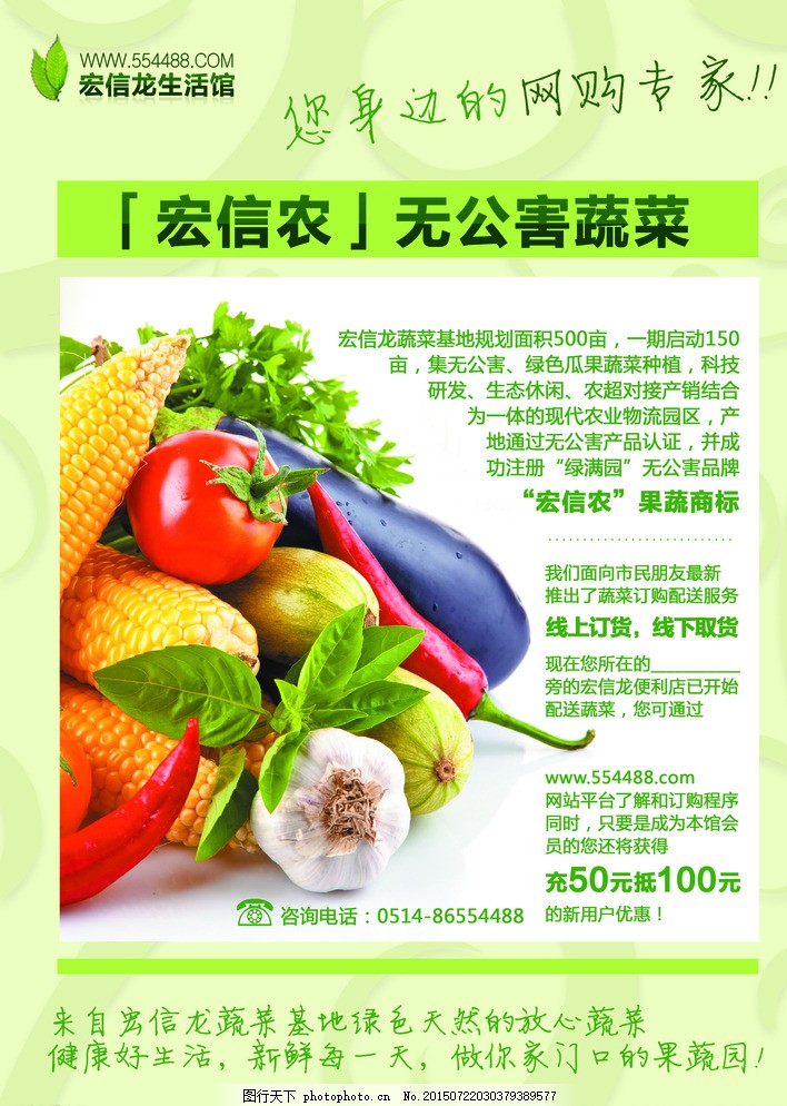 果蔬图片,水果 单页 矢量图 绿色蔬菜 健康 农副产品-